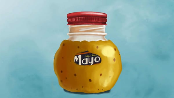 My Name Is Mayo PS4 Review